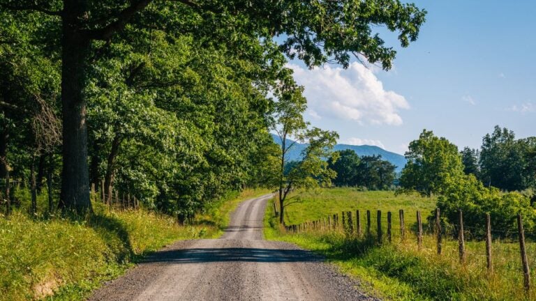 6 West Virginia Back Roads Locals Don’t Want Put on a Map