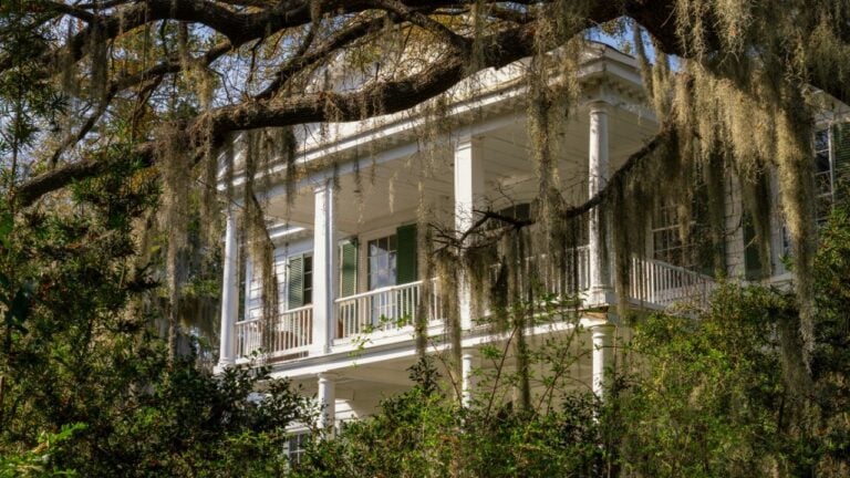 8 Inheritance Traps That Cost South Carolinians Their Family Land