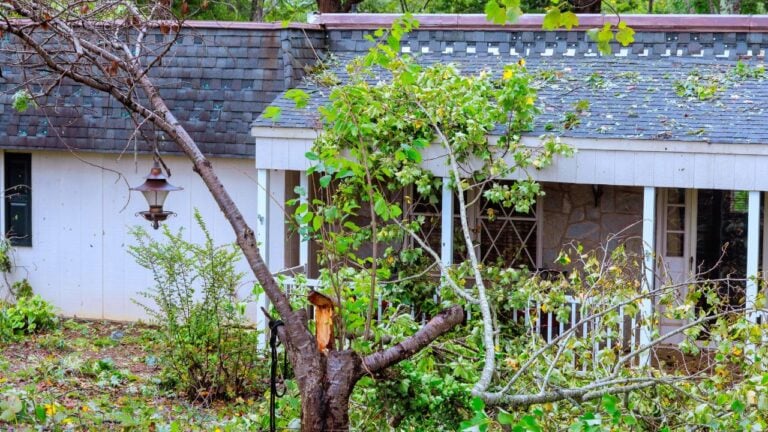11 Things Hoosiers Should Photograph Before Starting Storm Cleanup