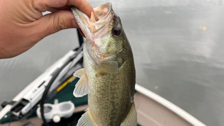 8 Florida Fish Camps Many Floridians Keep Off Social Media
