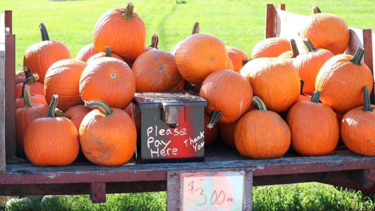 5 Idaho Farm Stands That Only Open a Couple Months a Year