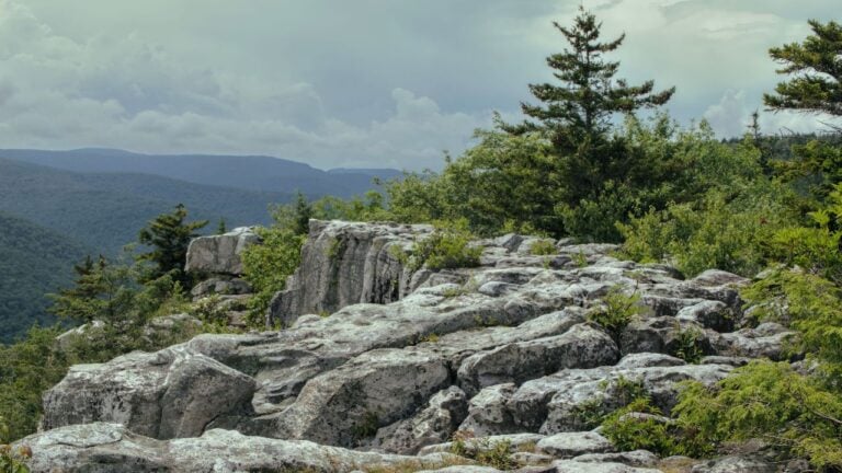 6 West Virginia Drives Visitors Ruin by Going at the Wrong Time