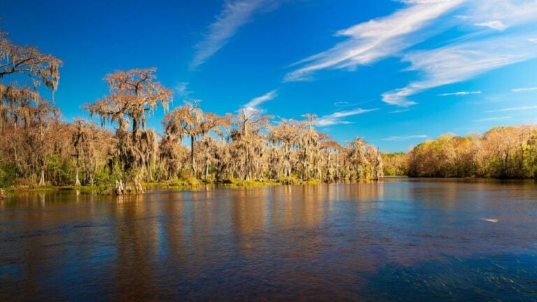 8 Florida State Parks Floridians Guard From Tourists