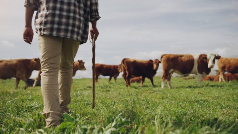 6 Greenbelt Rules That Catch Tennessee Landowners Off Guard