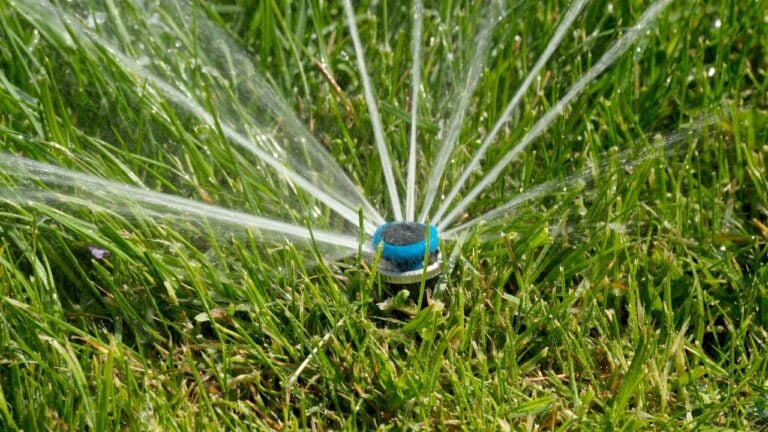 7 Water Restrictions That Catch New Floridians Off Guard Every Fall