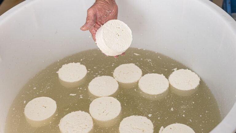 5 Wisconsin Cheese Rules Wisconsinites Enforce Without Ever Saying So