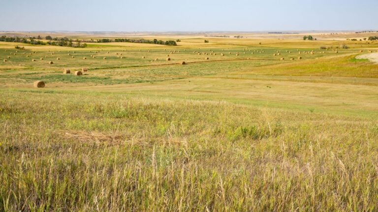 6 Farm Lease Clauses That Outlive a North Dakota Handshake