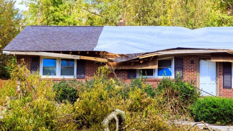 7 Roof Problems That Cost South Carolinians Their Insurance Coverage