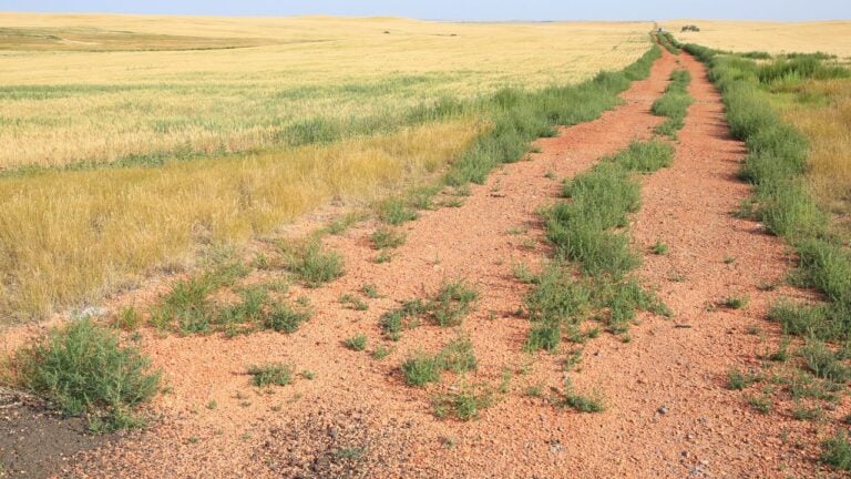 6 Township Road Rules That Catch New North Dakota Landowners Off Guard