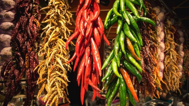 9 Things That Confuse Everyone Who Moves to New Mexico
