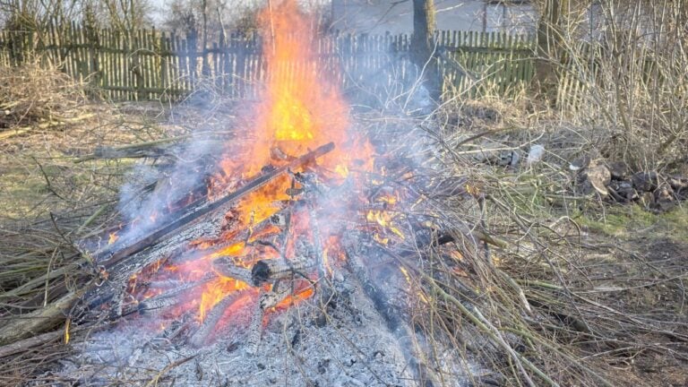 8 Reasons a North Carolina Burn Permit Doesn’t Cover What You’re Burning
