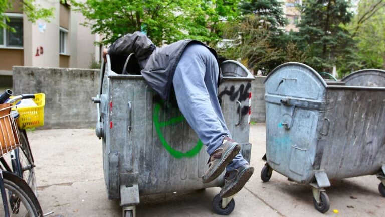 10 Things Washington Dumpster Divers Should Know Before They Start
