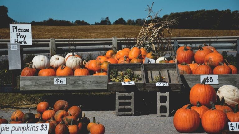 7 Reasons a Wisconsin Farm Stand Gets Shut Down