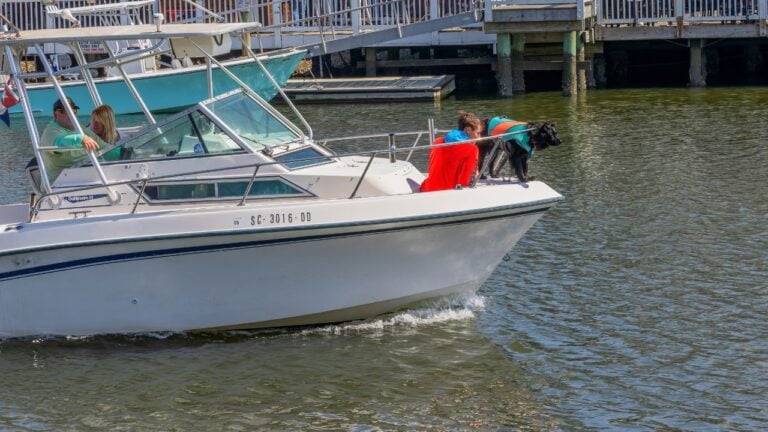 8 South Carolina Boat Landings Locals Won’t Use on a Weekend
