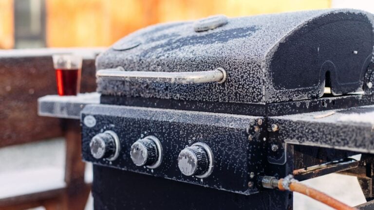 9 Things Minnesotans Should Finish Outside Before the First Frost