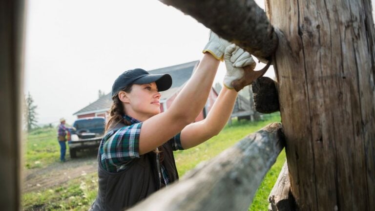 6 Fence Law Rules That Decide Who Pays in Oklahoma