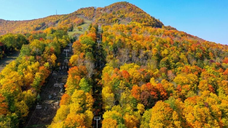 8 Catskill Towns That Aren’t Worth a Foliage Weekend Drive