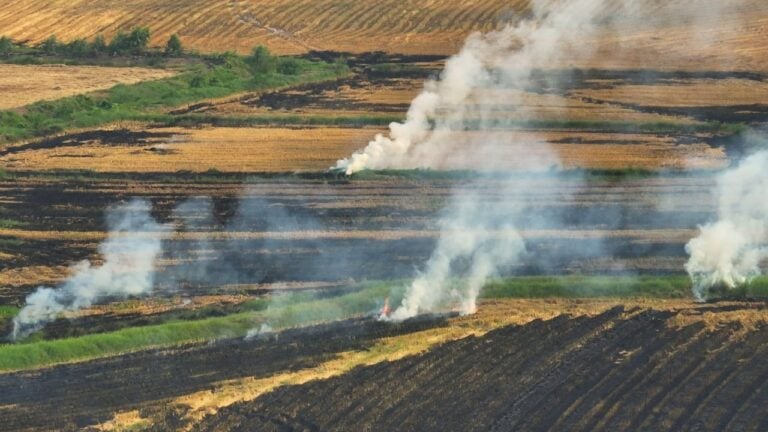 8 Burn Ban Rules Texans Get Wrong in Their Own County