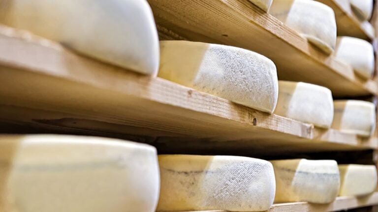 5 Vermont Cheddar Rules Vermonters Won’t Bend