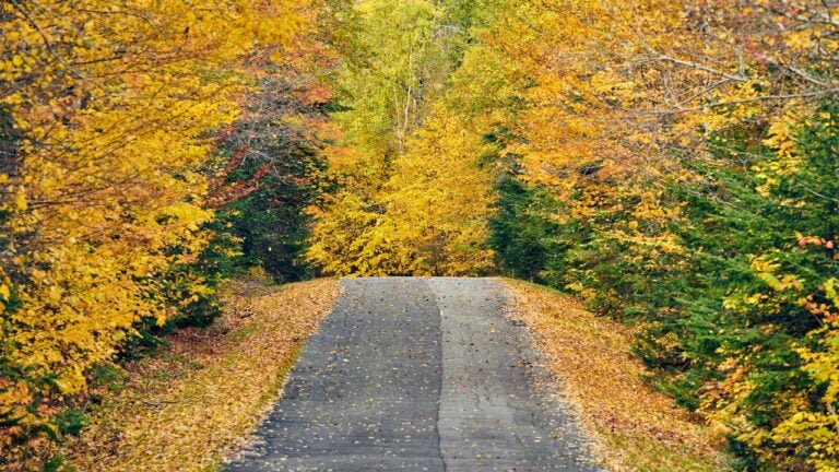 8 Things That Work Differently in the Half of Maine With No Town Government