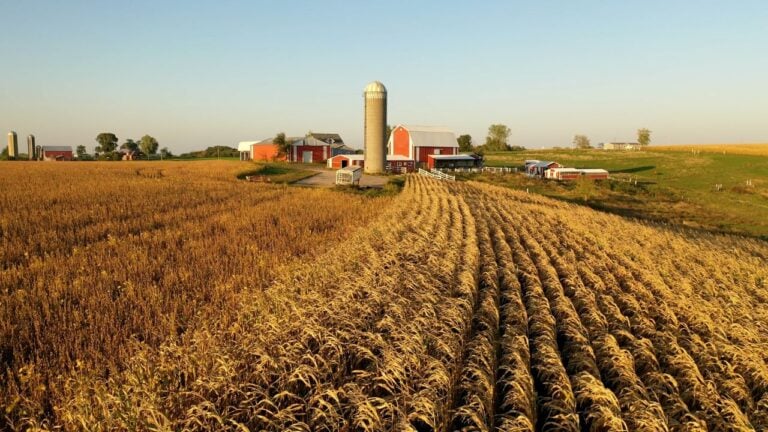 9 Things Iowa Farm Families Should Settle Before Anyone Retires
