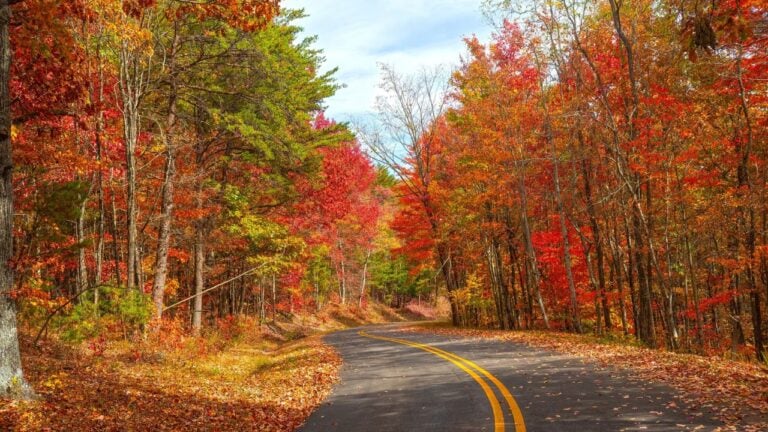 8 Tennessee Mountain Roads That Are a Mistake to Book for Leaf Season