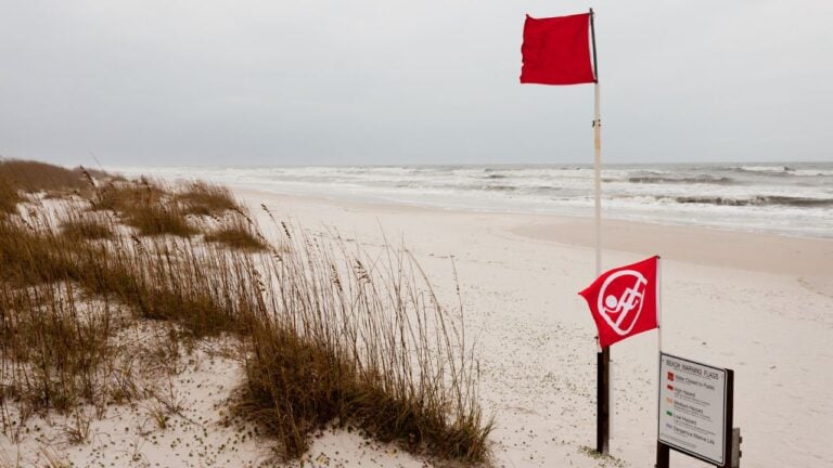 5 Florida State Park Rules Visitors Break Every October