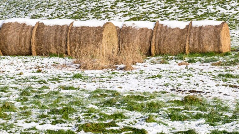 9 Things Wyoming Landowners Need to Finish Before the First Blizzard