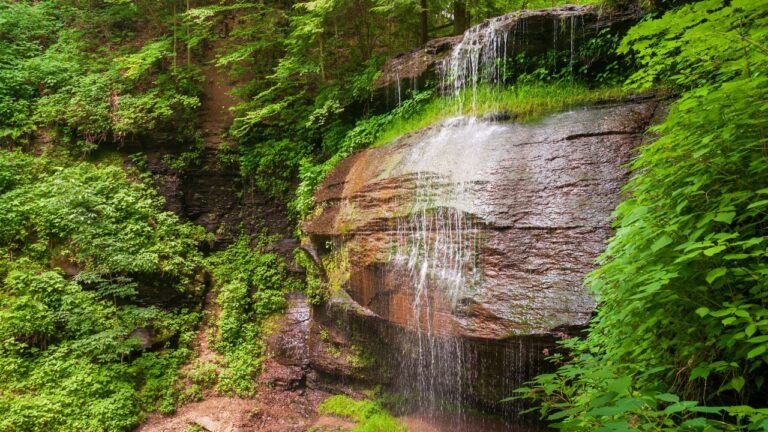 5 Finger Lakes Stops New Yorkers Say Aren’t Worth the Detour