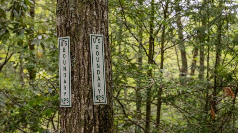 7 Timber Contract Terms That Cost Alabama Landowners Thousands