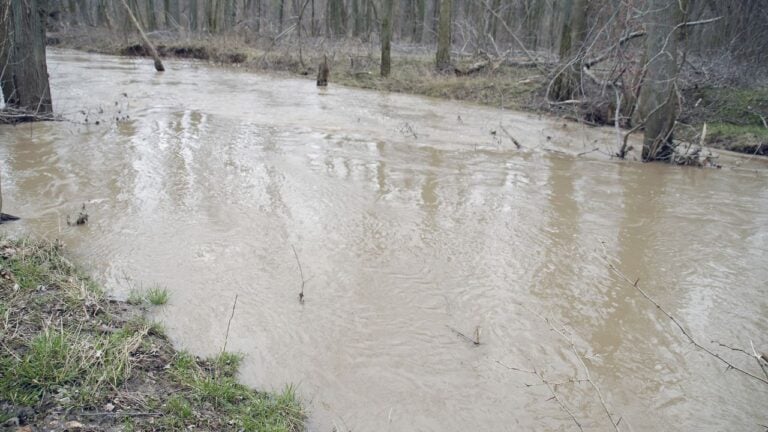 5 Arkansas Swimming Holes That Turn Dangerous After the First Fall Rain