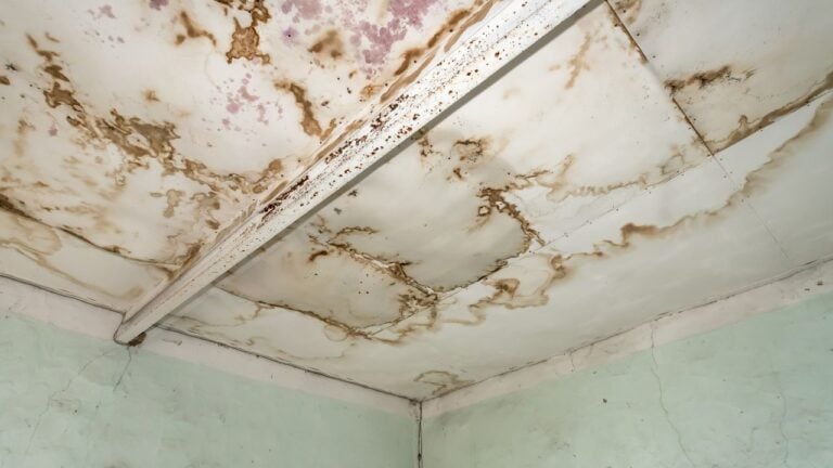 9 Crawl Space Problems That Cost North Carolinians a Sale