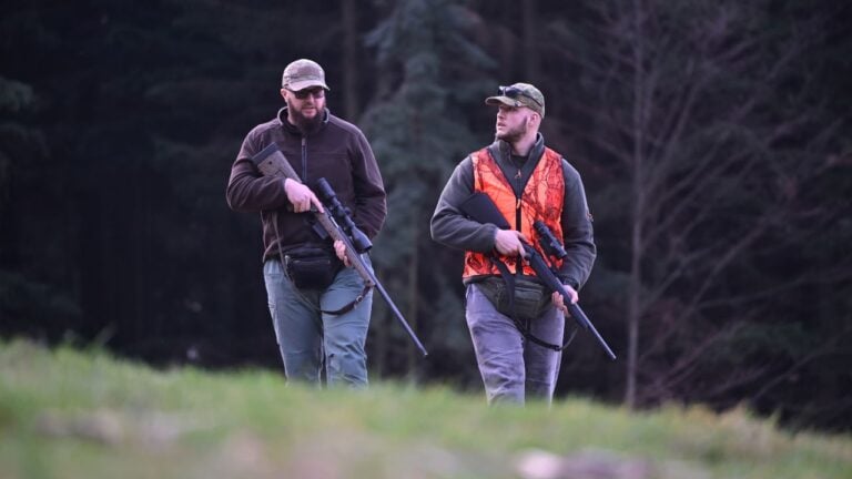 5 Wisconsin Businesses That Live Off One Week in the Fall