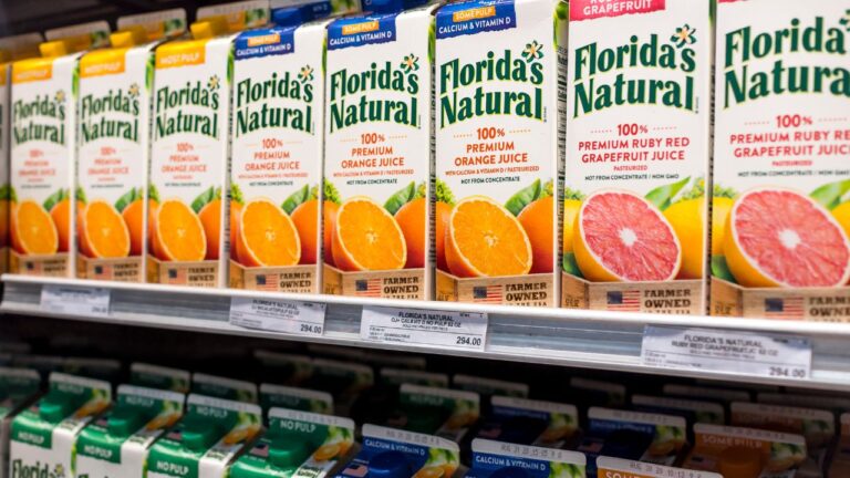 4 Things Florida Publix Shoppers Experience in the Winter