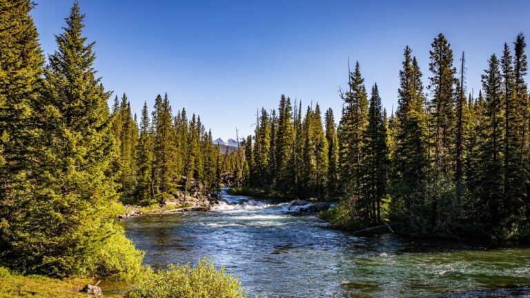 6 Stream Access Rules That Surprise New Montana Landowners
