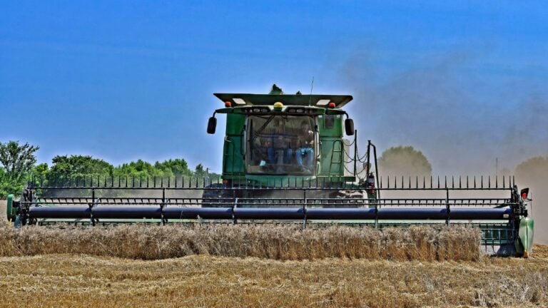 5 Things Kansans Do Every Year Once Wheat Harvest Starts