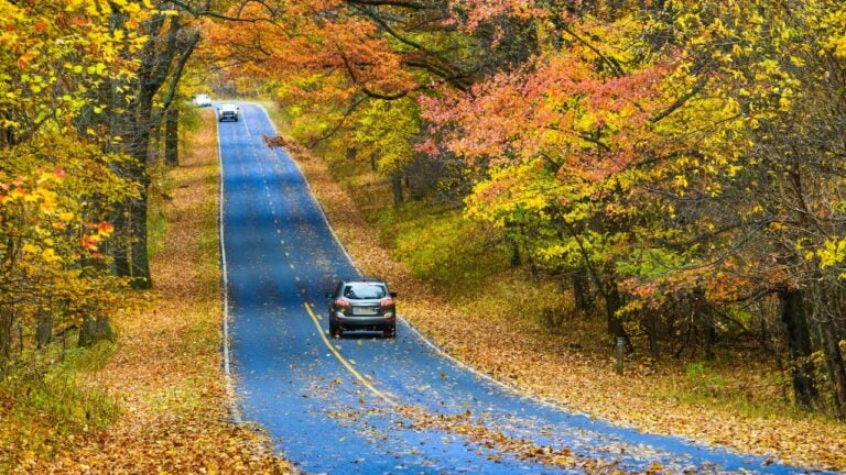 8 Scenic Routes Across Pennsylvania With Rest Stops Along the Way