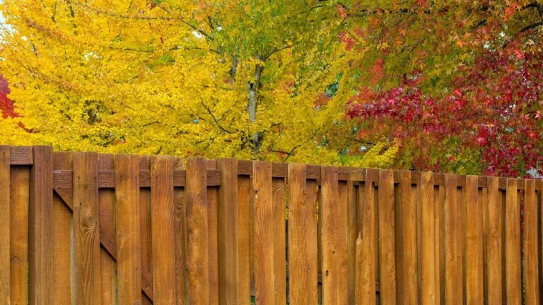 7 Signs the First Frost Is Close in a Minnesota Backyard