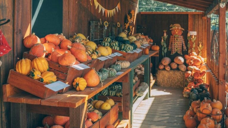8 Small-Town Ohio Storefronts That Only Open for One Season