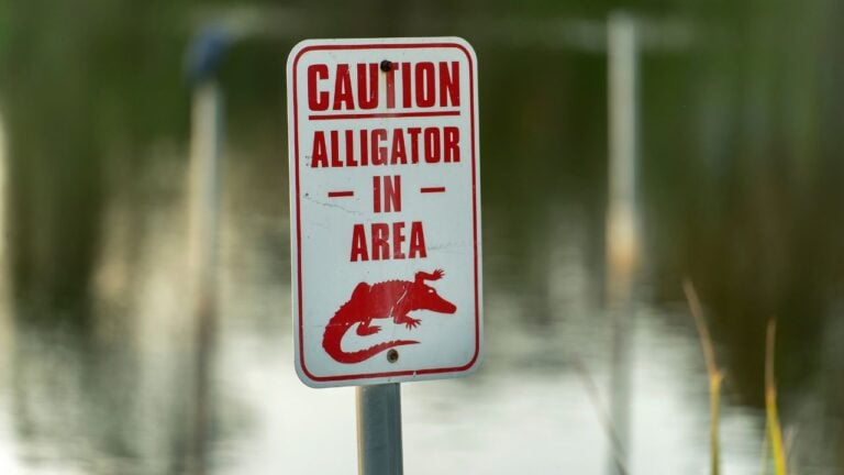 13 Things Floridians Never Have to Explain to Each Other
