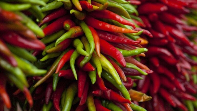 5 Things New Mexicans Do Before Green Chile Season Ends for the Year