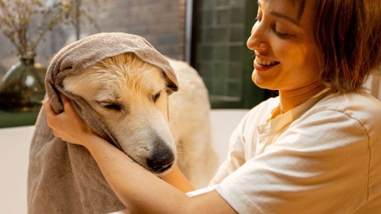 3 Cold-Weather Grooming Habits Indiana Veterinarians Say Do More Harm Than Good
