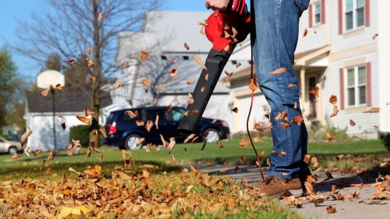 7 Unwritten Rules About Leaf-Blowing Hours in a Connecticut Neighborhood