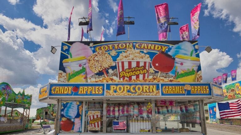4 Things That Set a Virginia County Fair Apart