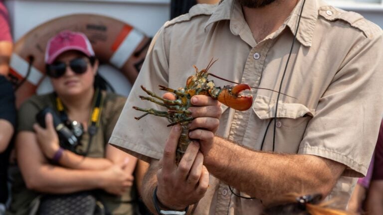 4 Lobster Boat Traditions That Wind Down by Mid-October in Maine