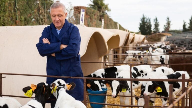 5 Things Vermont Dairy Farmers Do Before the First Hard Frost
