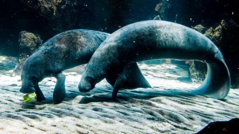 12 Things Northerners Get Wrong About Florida Winters