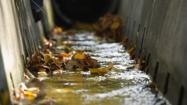 7 Water Rules New Utah Homeowners Find Out About Too Late