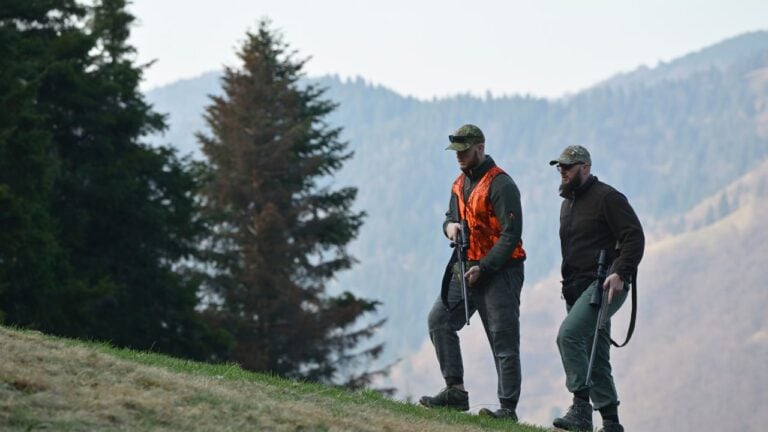 8 Wisconsin Deer Season Rules Landowners Get Wrong Near a Property Line