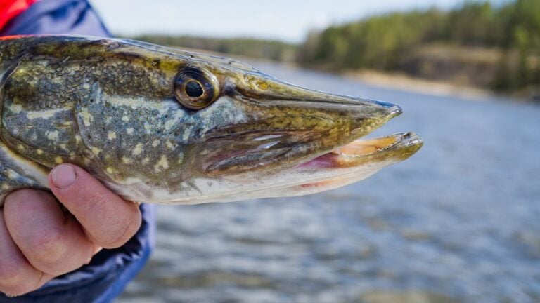 5 Signs Wisconsin Lake Season Is Officially Over for the Year